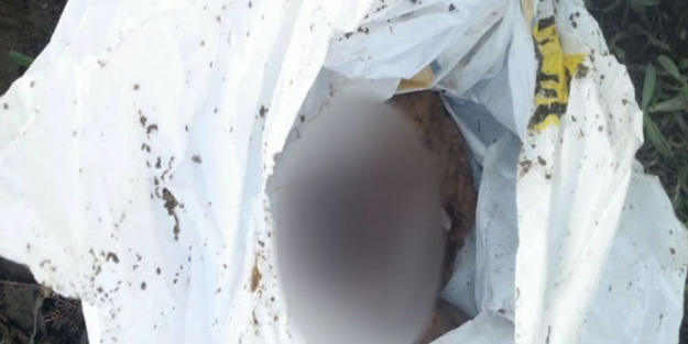 İstanbul'da korkunç görüntü: İnsanlık poşete girdi!