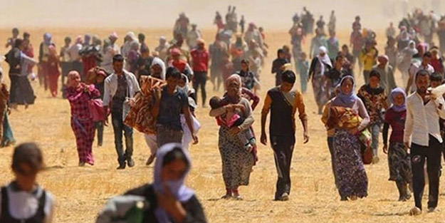 İnsanlık utancı BM raporuna yansıdı! Sayı dünya çapında rekor artışla 79,5 milyona ulaştı