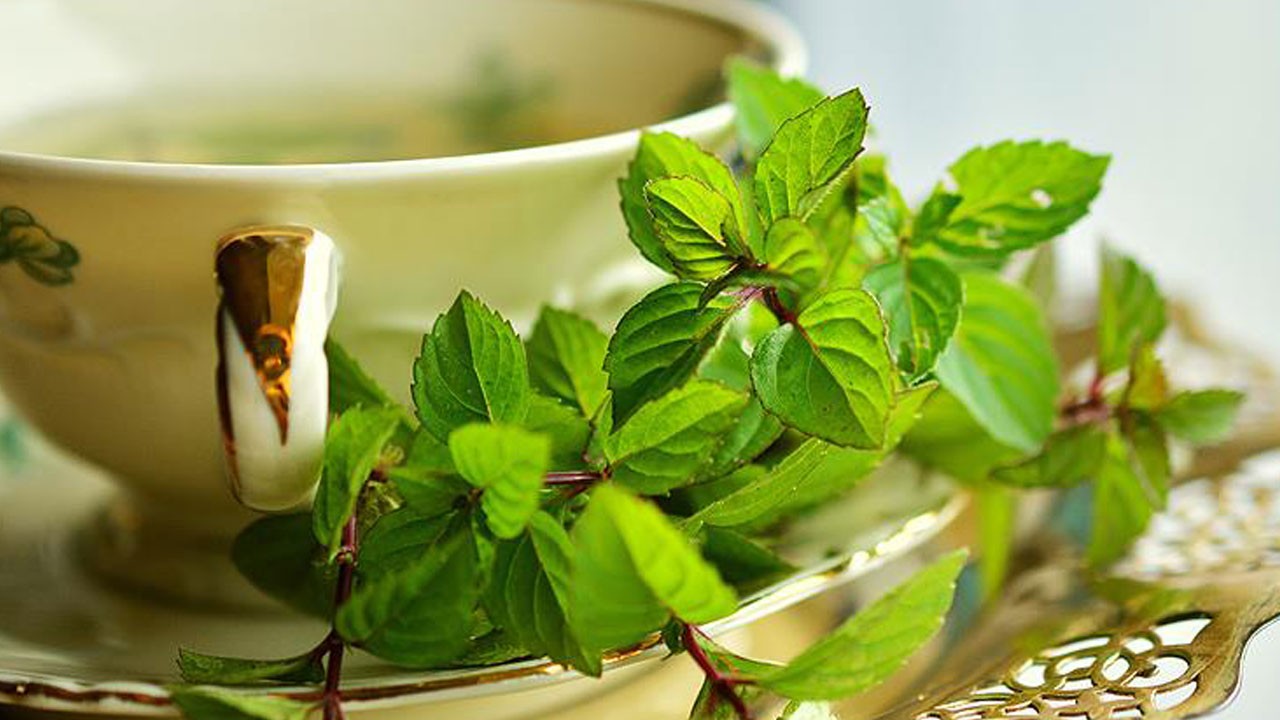 İnternetten gelen tehlike! Zayıflama uğruna kalbinizi riske atmayın