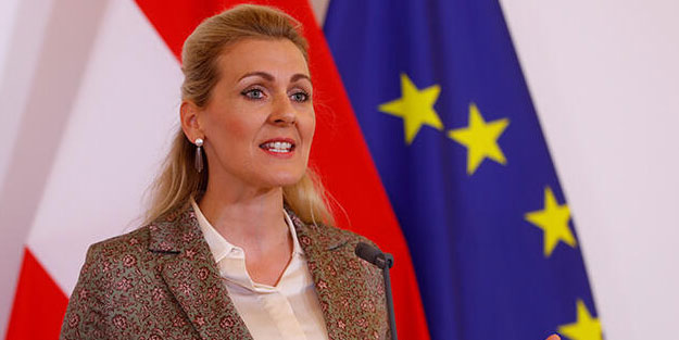 İntihal yapan Avusturyalı bakan istifa etti