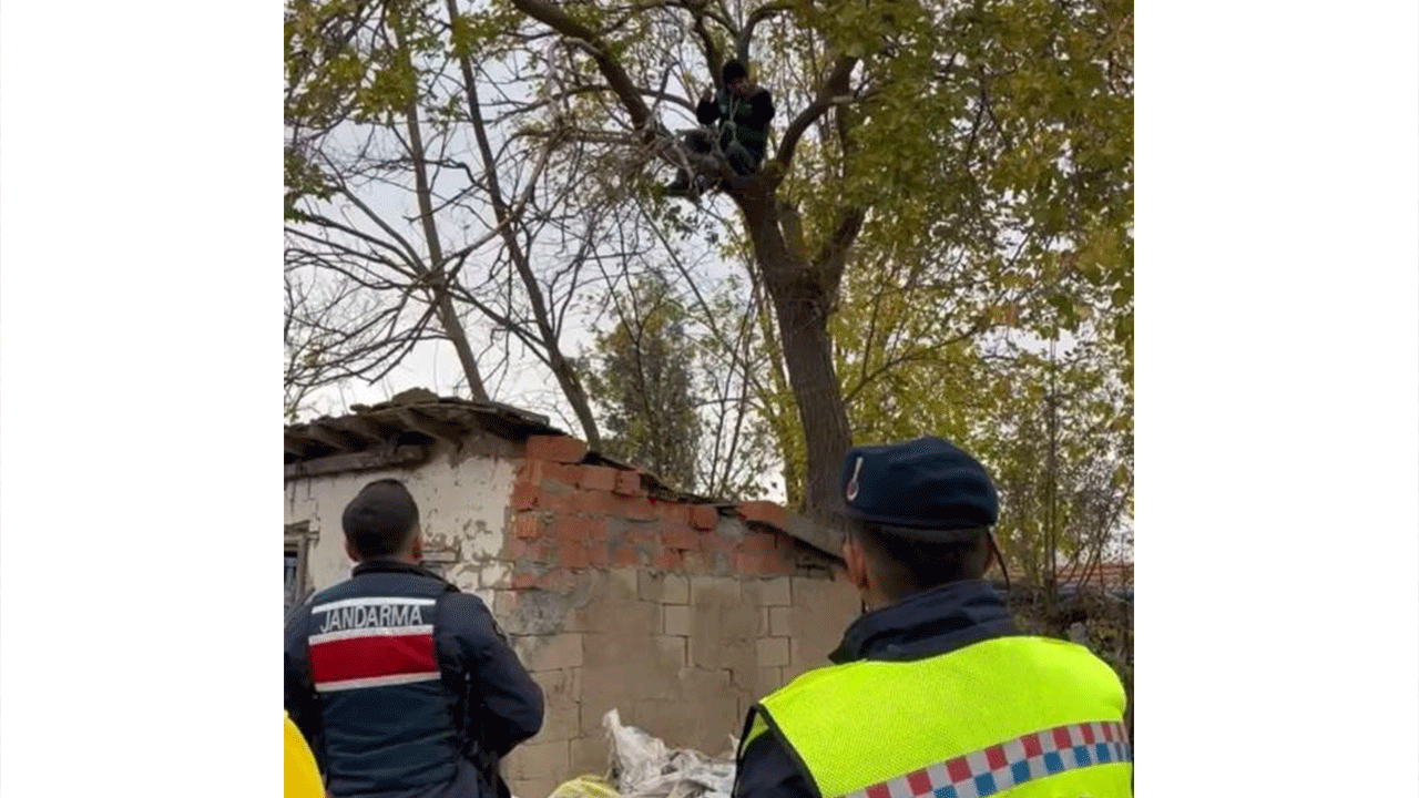 İntiharı jandarma önledi