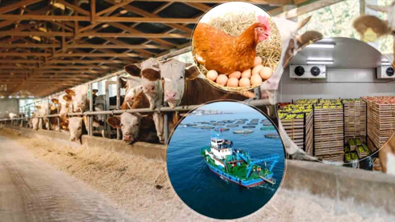 IPARD III programı 2026 yılı çağrı takvimi yayımlandı: Yumaklı, 