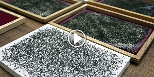 İpek böceği yetiştirerek 6 bin lira kazanacaklar