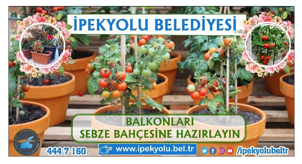İpekyolu’nda balkonda tarım dönemi 