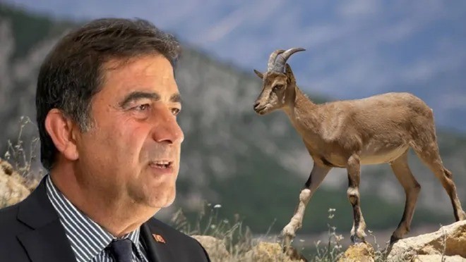 İP'li Bekir bakın nerede yakalandı