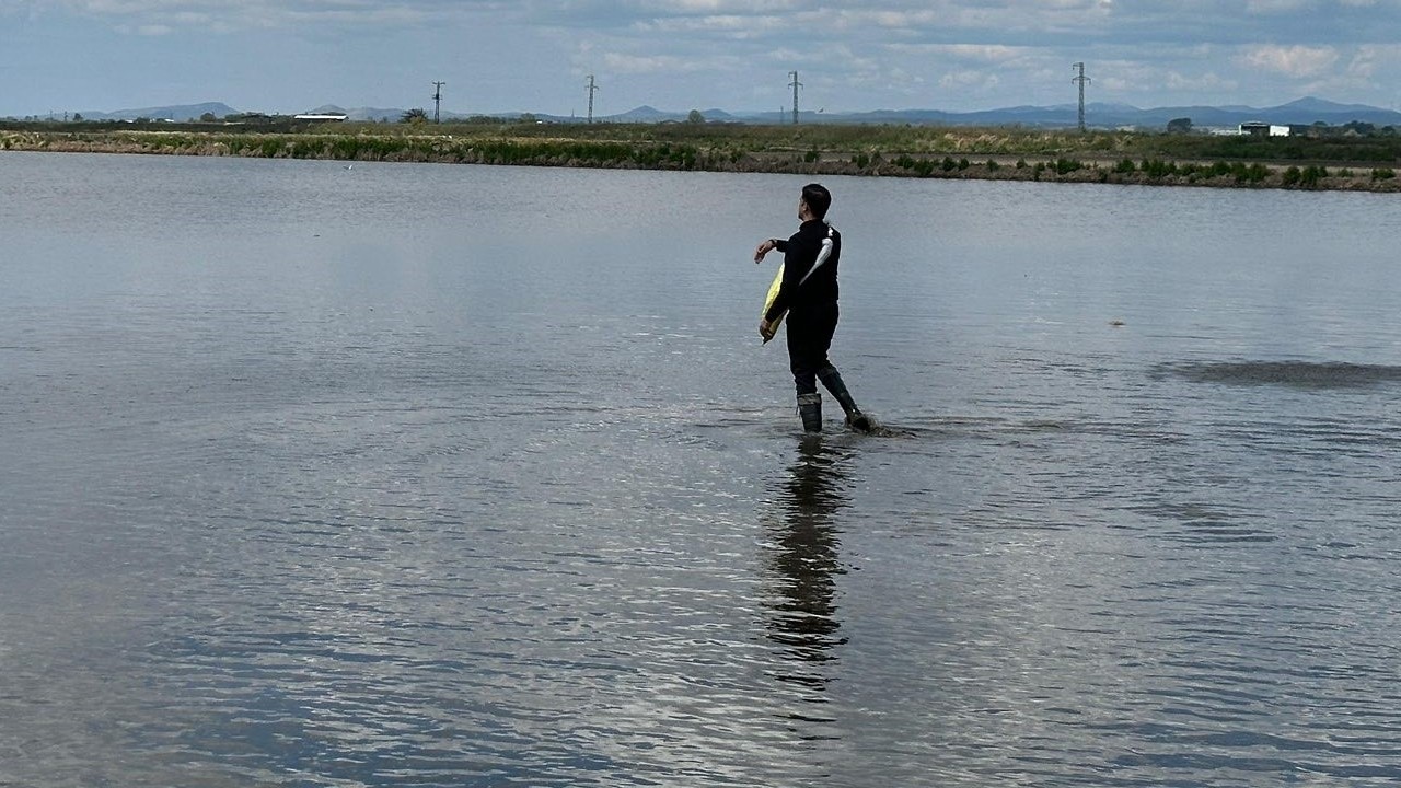İpsala’da Dünya Çiftçiler Günü çeltik ekimiyle kutlandı