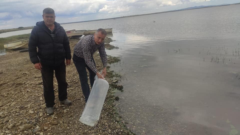 İpsala’daki göletlerde balıklandırma çalışmaları yapıldı 