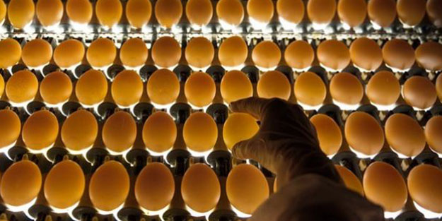 Irak ihracatında 'tasarruf' şoku! Hepsi telef oldu