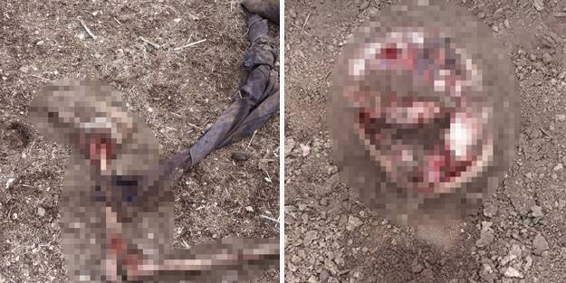 İran sınırında dehşete düşüren görüntü! Parçalanmış ceset bulundu