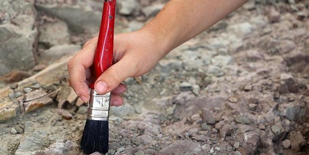 İran'da 200 milyon yıllık fosil bulundu | Fosil nedir, nasıl oluşur?