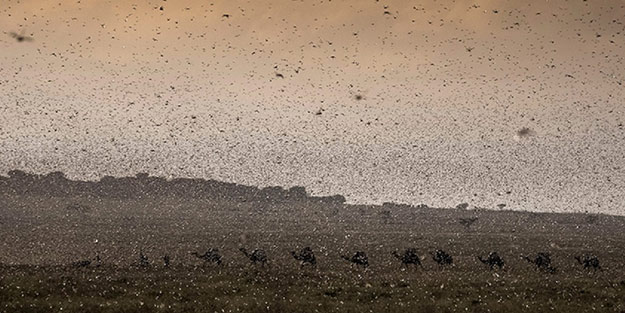 İran'da koronavirüsten sonra bir felaket daha! Bakan kötü haberi duyurdu