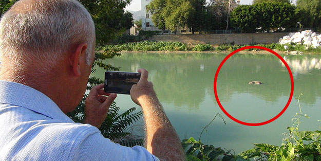 Irmağa yardıma koştular, ne olduğunu görünce şoke oldular!