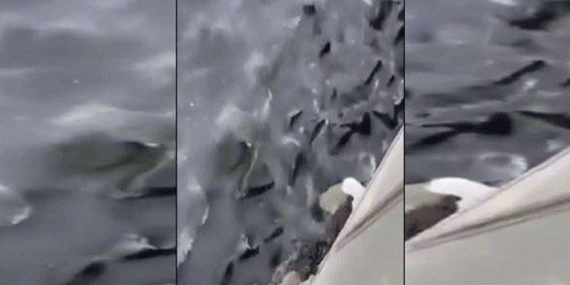 İş bilmez CHP çevreyi yok ediyor! Bakanlıktan rekor ceza