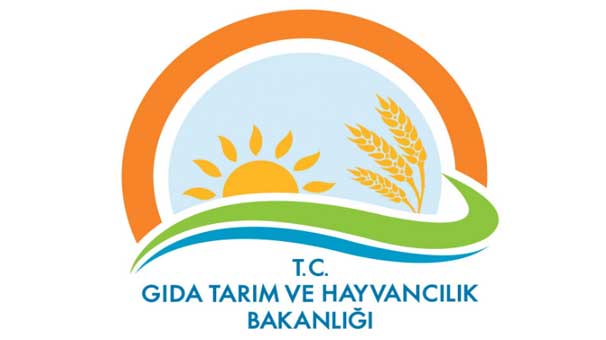 İş kurana 5 bin euro'dan 500 bin euro'ya kadar destek!