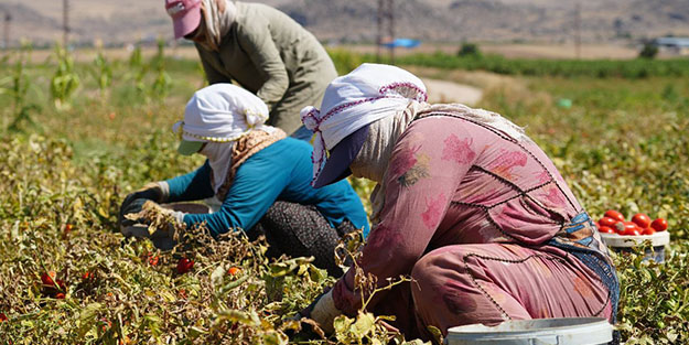 İş var çalışan yok! 1.300 lira yevmiyeyle çalışacak işçi bulunmuyor