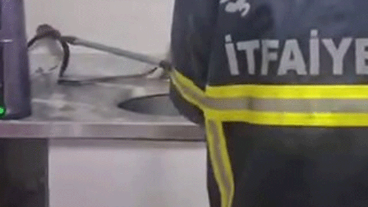 İş yerinde yılan paniği! Korku dolu anlar yaşandı