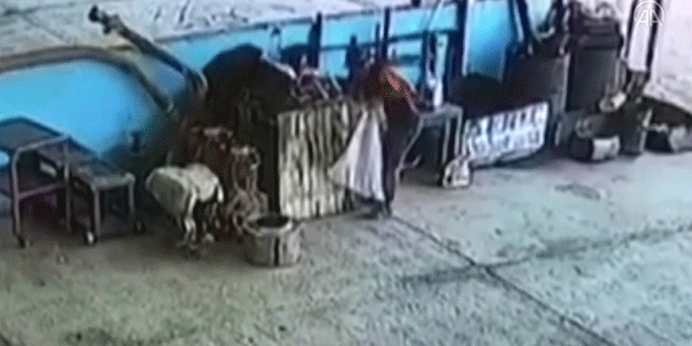 İş yerlerinden hırsızlık yapan zanlı tutuklandı