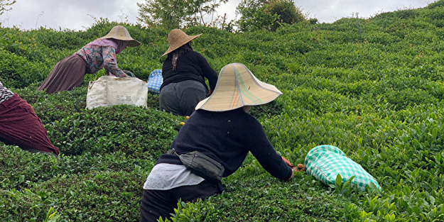 İşçi sorunu patlak verdi! Günlüğü 1000 li̇ra ama yüzüne bakan yok!