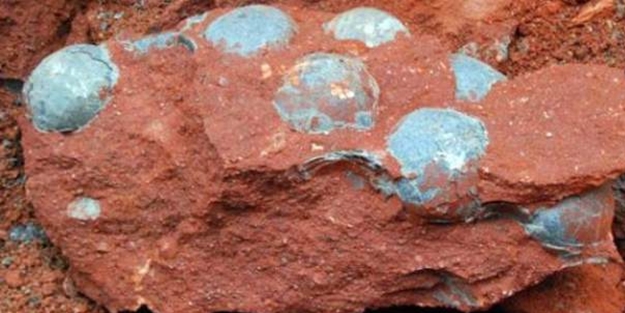 İşçiler şokta! Yol çalışmasında bulundu