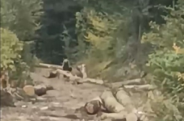 İşçilerin zorlu sınavı!