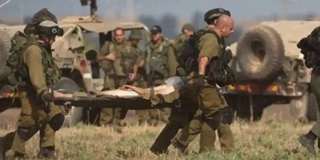 İşgalci hayvanların kaybı artıyor