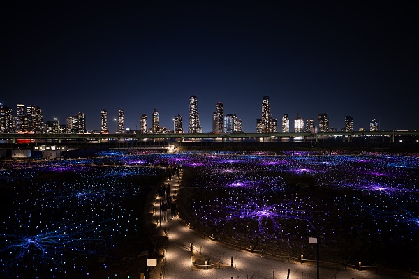 'Işık Tarlası' gösterisi ziyarete açıldı