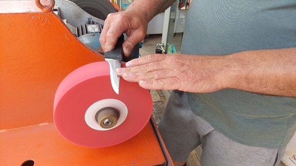 İşin uzmanından uyarı geldi: Kurbanlıklara eziyet etmemek için bunları unutmayın