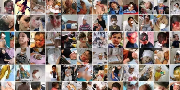 Isırılmaya devam Türkiye! Türkiye’deki köpek piyasası 3,5 milyar dolar!