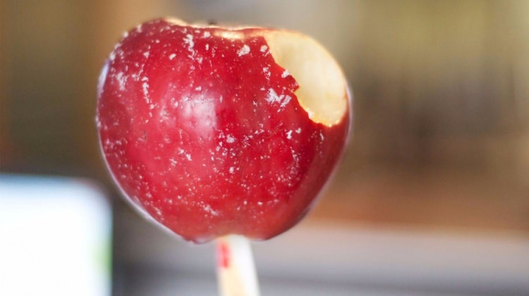 Isırmadan önce mutlaka bunu yapın!