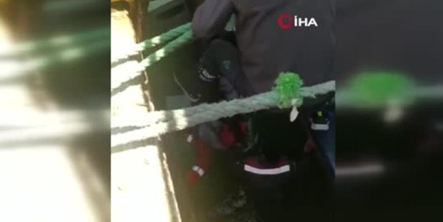 İskelede görevli personel denize atladı! Feribotta büyük panik!