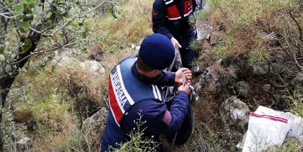 İskeleti dağda bulunmuştu! Arkasından organ mafyası çıktı