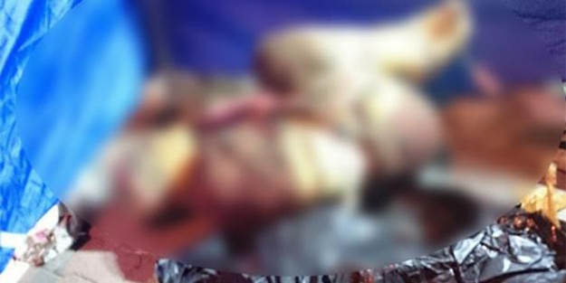 İşkence ederek öldürdüler, çöpe attılar!