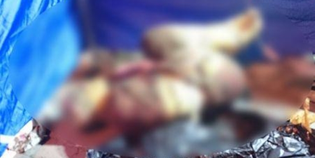 İşkence ederek öldürdüler, çöpe attılar!