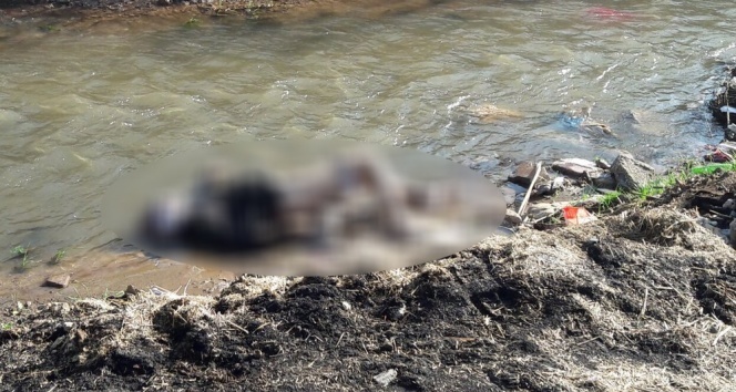 İşkence edilerek öldürülmüş erkek cesedi bulundu