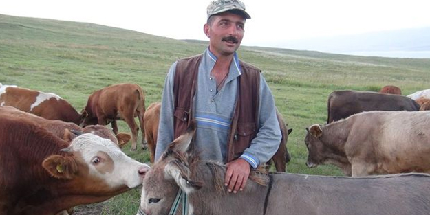 İşkence gören eşekler koruma altına alındı!