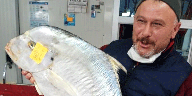 İskender balığı görenleri şaşkına cevirdi
