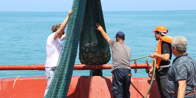 İskenderun Körfezi'ne küresel iklim değişikliğinin etkileri araştırılıyor