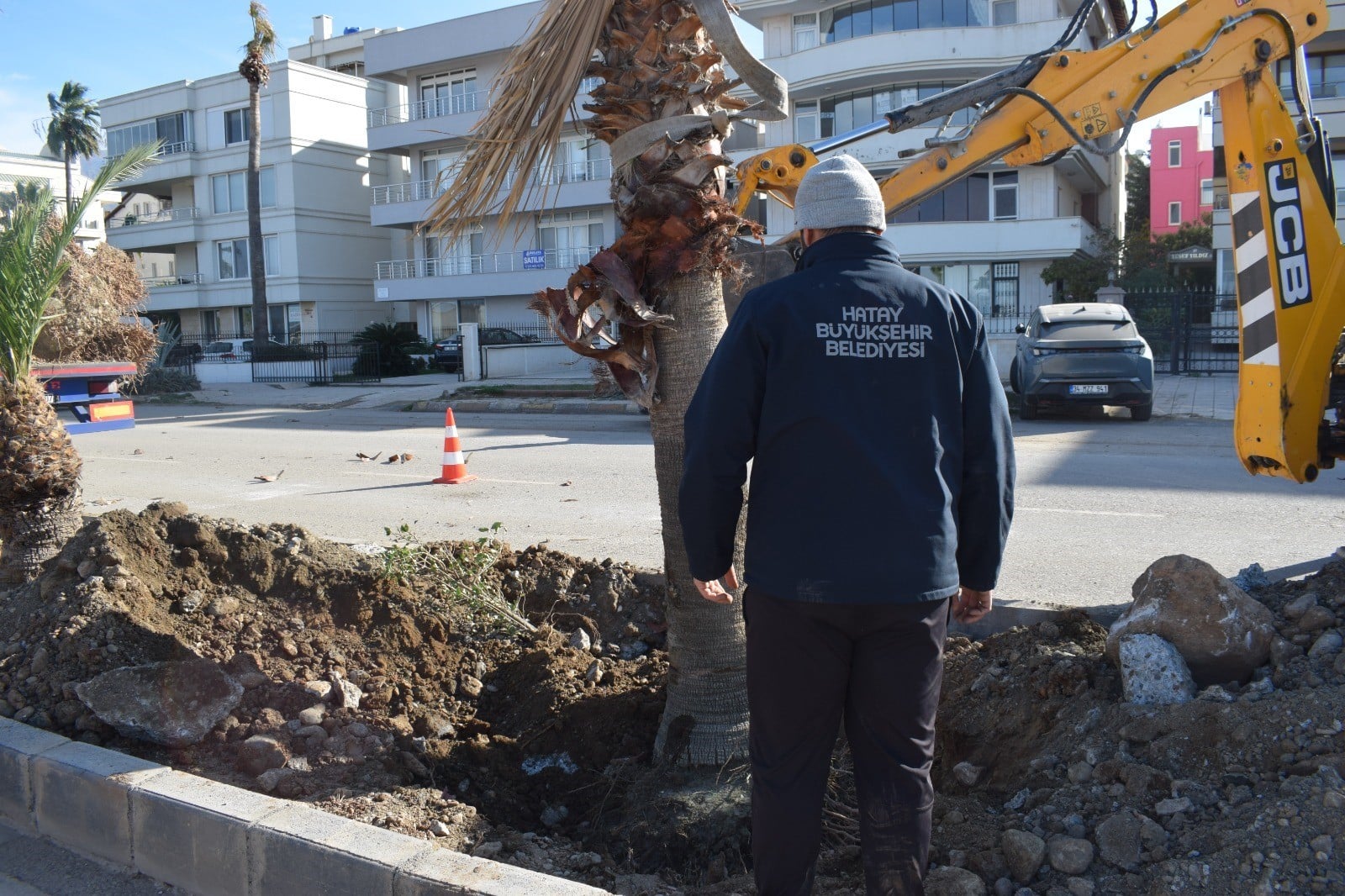 İskenderun Sahil Yolunda yeşillendirme çalışmaları başladı