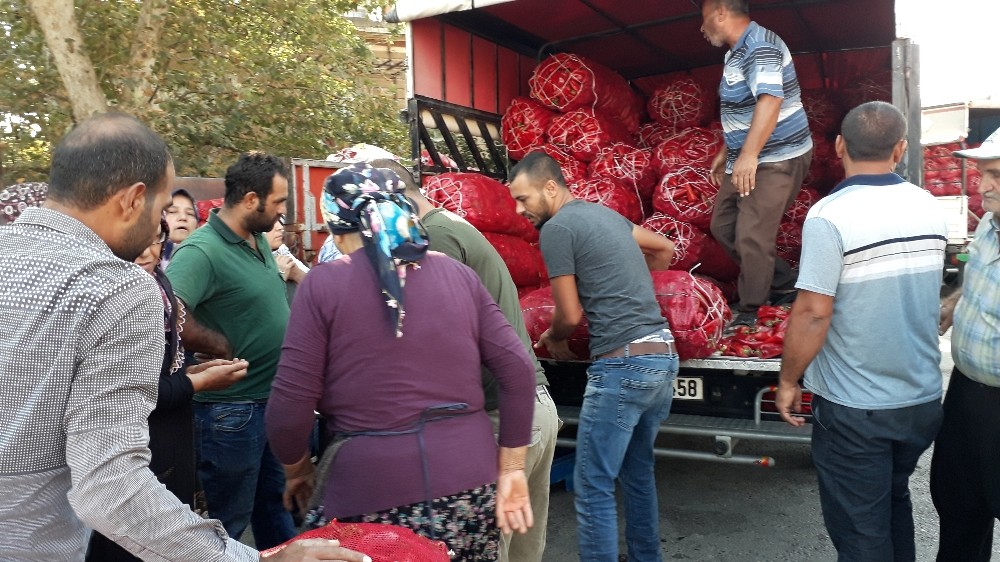 İslahiye’de salçalık biber tezgahtaki yerini aldı 