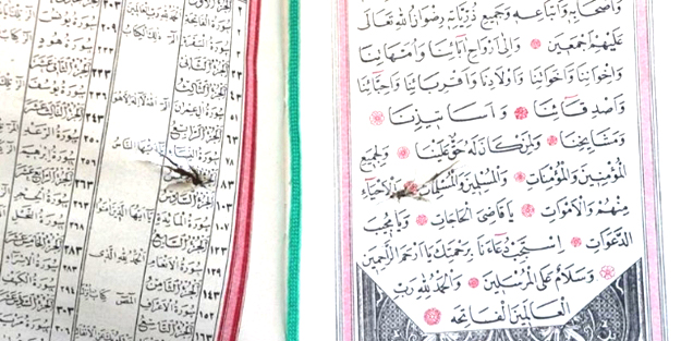 Teröristler Kur'an'a kurşun sıktı!