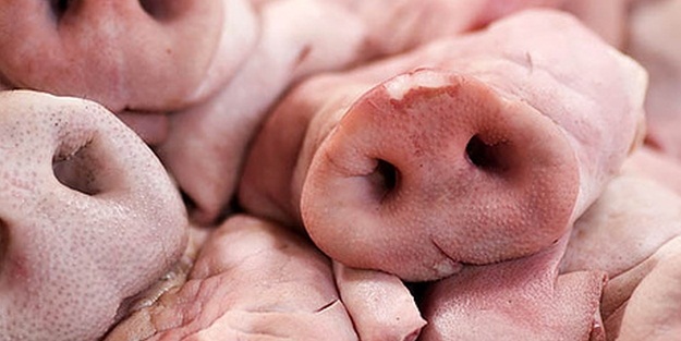 İslam'a göre neler yenilip içilmez?