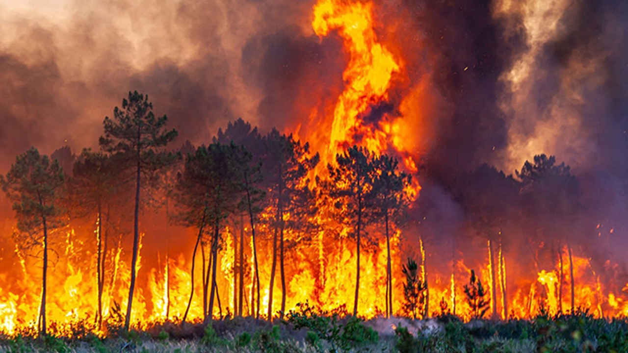 'İslamî çizgide yangınlara nasıl bakmalıyız?'