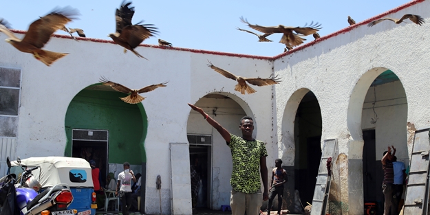 İslam’ın dördüncü kutsal şehri: Harar