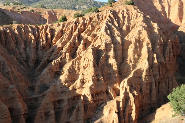 İsmi tüyleri diken diken ediyor!