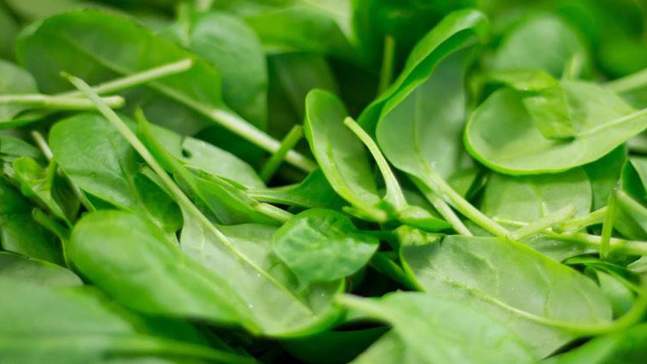 Ispanağı az tüketenler dikkat! Bu vitamin olmadan beyin korumasız kalıyor