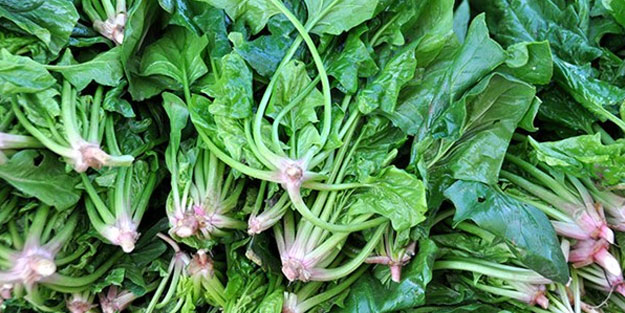 Ispanağı böyle tüketiyorsanız risk altındasınız