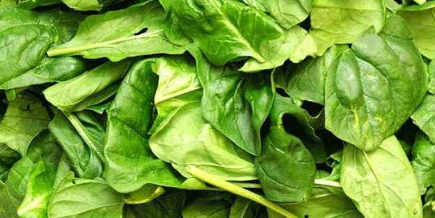 Ispanak neye iyi gelir? Kanser düşmanı ıspanağın sağlığa inanılmaz etkileri!