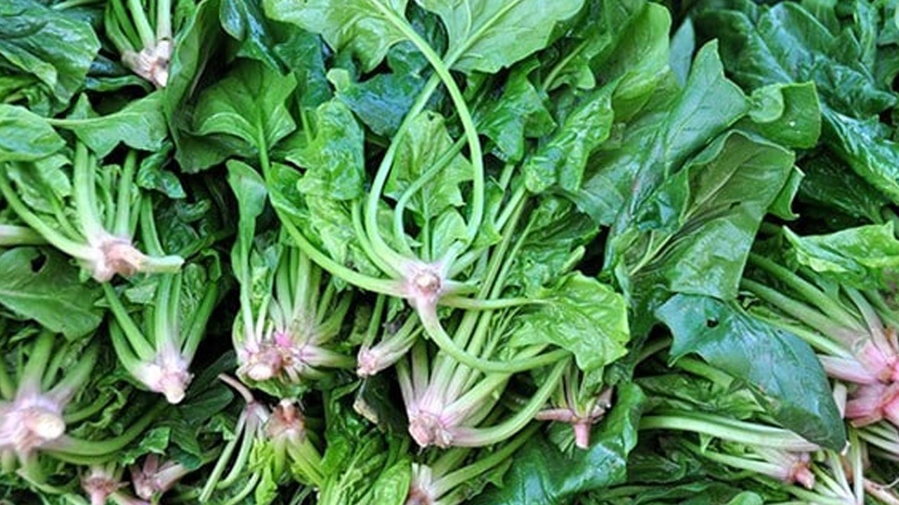 Ispanak ve yoğurdu birlikte tüketenler dikkat! İnsan sağlığına zararlı