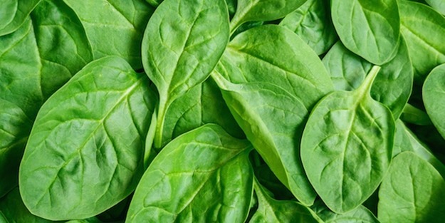 Ispanak'ın faydaları saymakla bitmiyor!