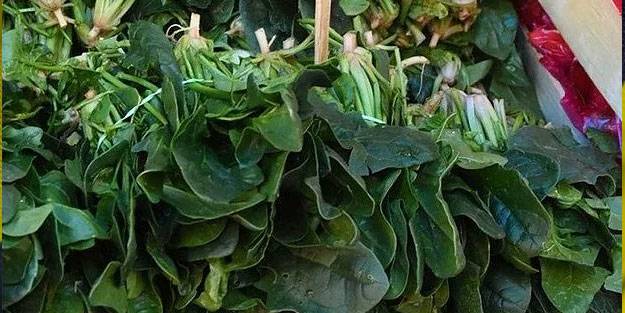 Ispanaklar zehirli mi? Ispanak zehirlenmesi neden oluyor?